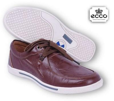 ECCO-5